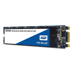 WD Blue 3D NAND SATA SSD Unità allo Stato Solido...