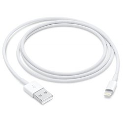 Apple Cavo da Lightning a USB (1m)