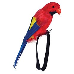 Feather Wrist Parrot